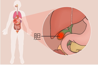 ERCP技术：为胆胰疾病患者打开“生命通道”