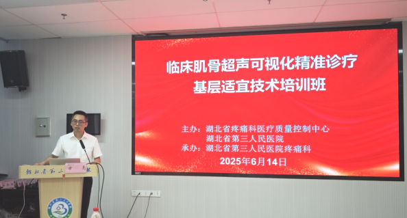 2025年临床肌骨超声可视化精准诊疗基层适宜技术培训班在汉顺利举办